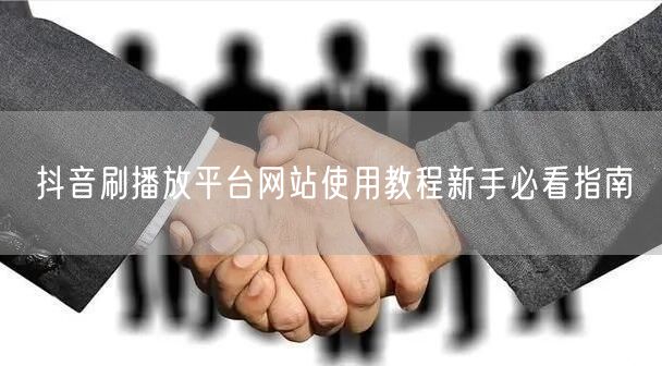 抖音刷播放平台网站使用教程新手必看指南